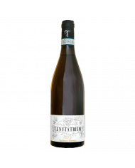 Vini Bianchi  Trebbiano d’Abruzzo Macerato 2021 - Tenuta Trium 18,03 €