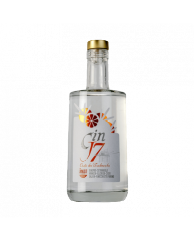 Distillates  GIN J7 Costa dei Trabocchi 70 cl - JMEF Jannamico Liquori 24,64 € Distillates  GIN J7 Costa dei Trabocchi 70 cl - JMEF Jannamico Liquori 24,64 €