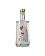 Distillati  GIN J7 Costa dei Trabocchi 70 cl - JMEF Jannamico Liquori 24,64&nbsp;€