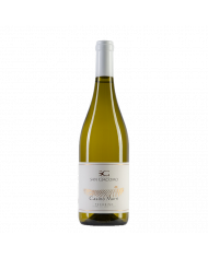 Vini Bianchi  Pecorino IGT terre di Chieti Casino Murri 2023 - Cantina San Giacomo 7,65 €