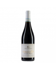 Red Wines  Montepulciano D'Abruzzo DOC 2020 Casino Murri - Cantina San Giacomo 4,79 €