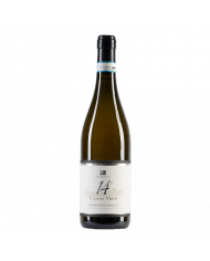 Witte Wijnen  Trebbiano D'Abruzzo DOC Casino Murri 14° 2021 - Cantina San Giacomo 8,96 €