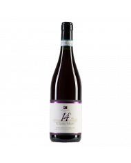 Rosé-Weine  Cerasuolo D'Abruzzo DOC 2020 Casino Murri 14° - Cantina San Giacomo 8,96 €