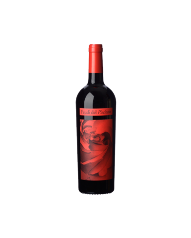 Vini Rossi  Terre Siciliane Merlot IGT 2019 – Feudi del Pisciotto 15,40 €