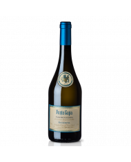 White wines  Fonte Cupa Controguerra Passerina DOC 2022 - Camillo Montori 8,68 â‚¬ White wines  Fonte Cupa Controguerra Passerina DOC 2022 - Camillo Montori 8,68 â‚¬