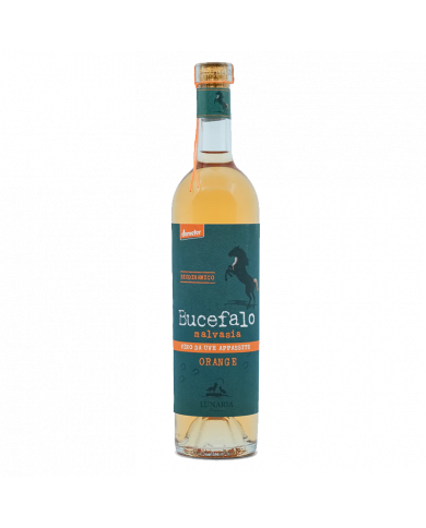 Vini Bianchi  Bucefalo Malvasia Orange Terre di Chieti IGP Lunaria 2023 - Cantina Orsogna 12,13 €