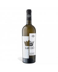 Vini Bianchi  LuGiò Pinot Grigio Terre di Chieti IGP 2021 - Casimirri 6,56 â‚¬ Vini Bianchi  LuGiò Pinot Grigio Terre di Chieti IGP 2021 - Casimirri 6,56 â‚¬