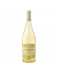 White wines  Testarossa Passerina Terre Aquilane I.G.P. 2023 - Pasetti 9,96 â‚¬ White wines  Testarossa Passerina Terre Aquilane I.G.P. 2023 - Pasetti 9,96 â‚¬