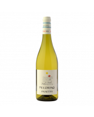 Vini Bianchi  Pecorino d'Abruzzo D.O.P. 2022 - Pasetti 9,20 € Vini Bianchi  Pecorino d'Abruzzo D.O.P. 2022 - Pasetti 9,20 €