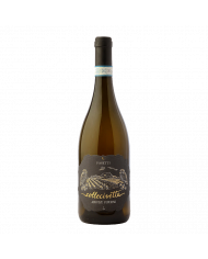 Vini Bianchi  Collecivetta Pecorino Superiore D.O.P. 2020 - Pasetti 10,42 â‚¬ Vini Bianchi  Collecivetta Pecorino Superiore D.O.P. 2020 - Pasetti 10,42 â‚¬