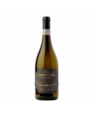 White wines  Madonnella Trebbiano d’Abruzzo D.O.C. 2017 - Pasetti 11,07 â‚¬ White wines  Madonnella Trebbiano d’Abruzzo D.O.C. 2017 - Pasetti 11,07 â‚¬
