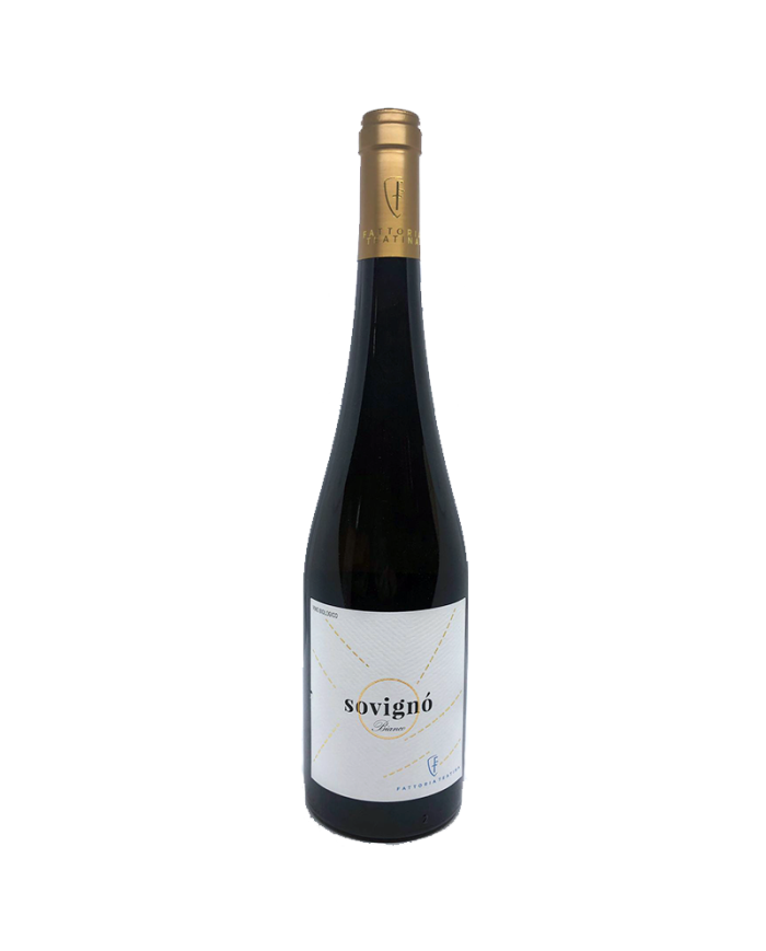 Witte Wijnen  Sovignò Bianco Sauvignon Blanc bio 2020 - Fattoria Teatina 8,40 €