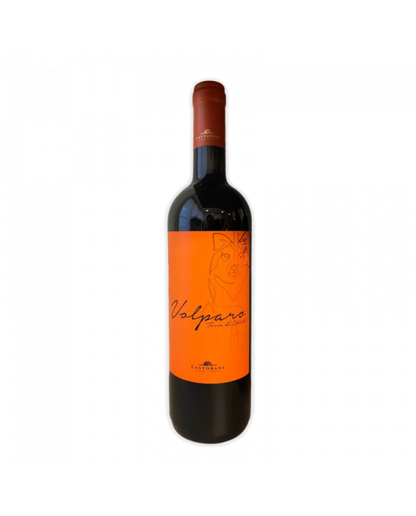 Rode wijnen  Volparo Rosso Terre di Chieti IGT 2017 - Podere Castorani 13,10 â‚¬ Rode wijnen  Volparo Rosso Terre di Chieti IGT 2017 - Podere Castorani 13,10 â‚¬