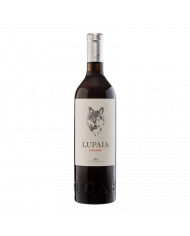 Vini Bianchi  Lupaia Orange Pecorino Colline Pescaresi 2020 - Podere Castorani 9,72&nbsp;€