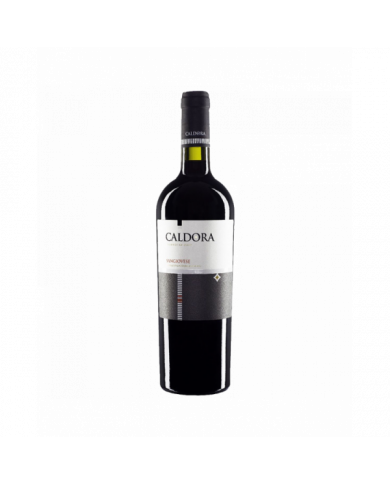 Vini Rossi  CALDORA Sangiovese Terre Di Chieti 2021 - Caldora - Fantini Farnese 7,20 € Vini Rossi  CALDORA Sangiovese Terre Di Chieti 2021 - Caldora - Fantini Farnese 7,20 €