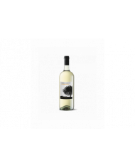 White wines  Chardonnay Terre di Chieti Igp 2020 Magnum - Cantina Tollo 7,20 €