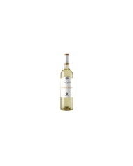 Witte Wijnen  Chardonnay I.G.P. Tenuta San Marco Bianco 2021 – Cantine Due Palme 6,15 € Witte Wijnen  Chardonnay I.G.P. Tenuta San Marco Bianco 2021 – Cantine Due Palme 6,15 €