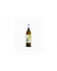 White wines  Castellana Bianco Terre di Chieti IGP 2020 - Cantina Miglianico 4,30 €