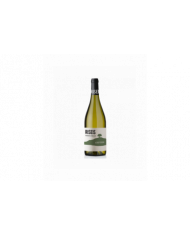 White wines  RISEIS Trebbiano d’Abruzzo DOC Bio 2020 - Agriverde 6,95 €