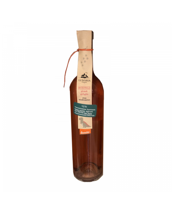 Witte Wijnen  Pinot Grigio IGP 2020 Ancestrale - Lunaria - Cantina Orsogna 9,95 €