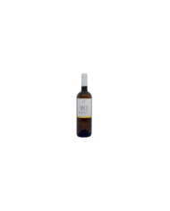 Witte Wijnen  Così è Sauvignon IGT Colline Pescaresi 2018 - Speranza 8,44 €