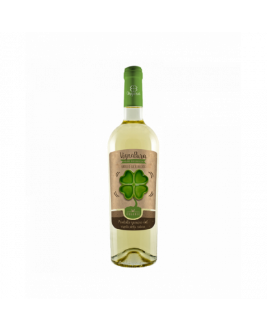 Witte Wijnen  VIGNA PURA Grillo DOC Sicilia Biologico 2020 - Fantini Farnese 11,07 â‚¬ Witte Wijnen  VIGNA PURA Grillo DOC Sicilia Biologico 2020 - Fantini Farnese 11,07 â‚¬
