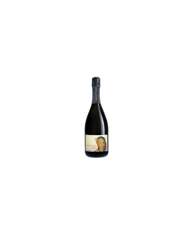 Vini Bianchi  Spumante Metodo Classico Brut Millesimato 2016 - Donnafugata 23,77 €