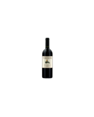 Vini Rossi  Torrione Toscana 2018 - Petrolo 23,85 â‚¬ Vini Rossi  Torrione Toscana 2018 - Petrolo 23,85 â‚¬