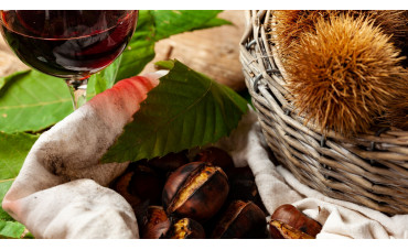 Vino Novello: il vino più delizioso della stagione autunnale Vino Novello: il vino più delizioso della stagione autunnale