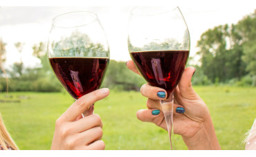 Perché il vino rosso è rosso? Scopri il segreto del colore del vino Perché il vino rosso è rosso? Scopri il segreto del colore del vino